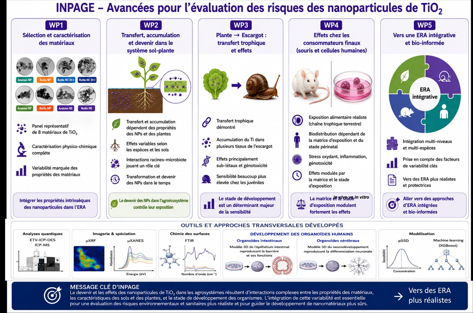 INPAGE project overview of TiO₂ nanoparticle risk assessment